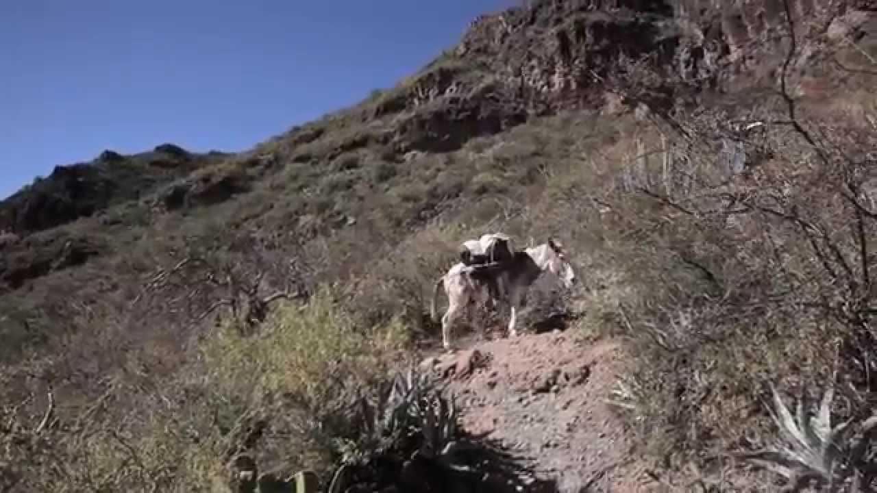 Video Sierras Giganta y Guadalupe