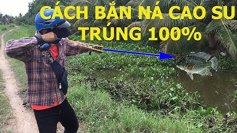 Hướng dẫn cách bắn nạn thun bách phát bách trúng, Cách bắn ná cao su, bắn cá | Slingshot