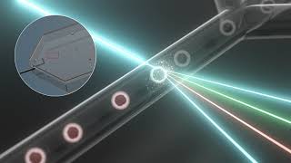 Namocell Cell Sorting Technology Overview