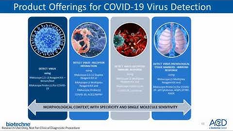 Incorporation and Automation of RNAscope Technology into your COVID 19 Viral Pathogenesis Research
