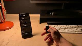 Litho Mouse