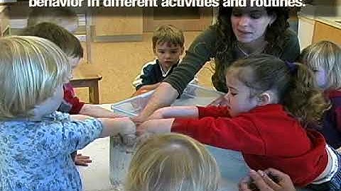 Embedded Instruction Practices