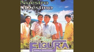 Video thumbnail of "Grupo Figura - Doblemente Feliz"