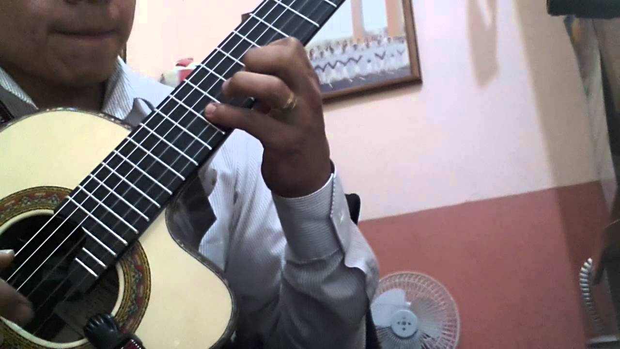 Requinto de palo de rosa modelo JLV-VD-PN-01