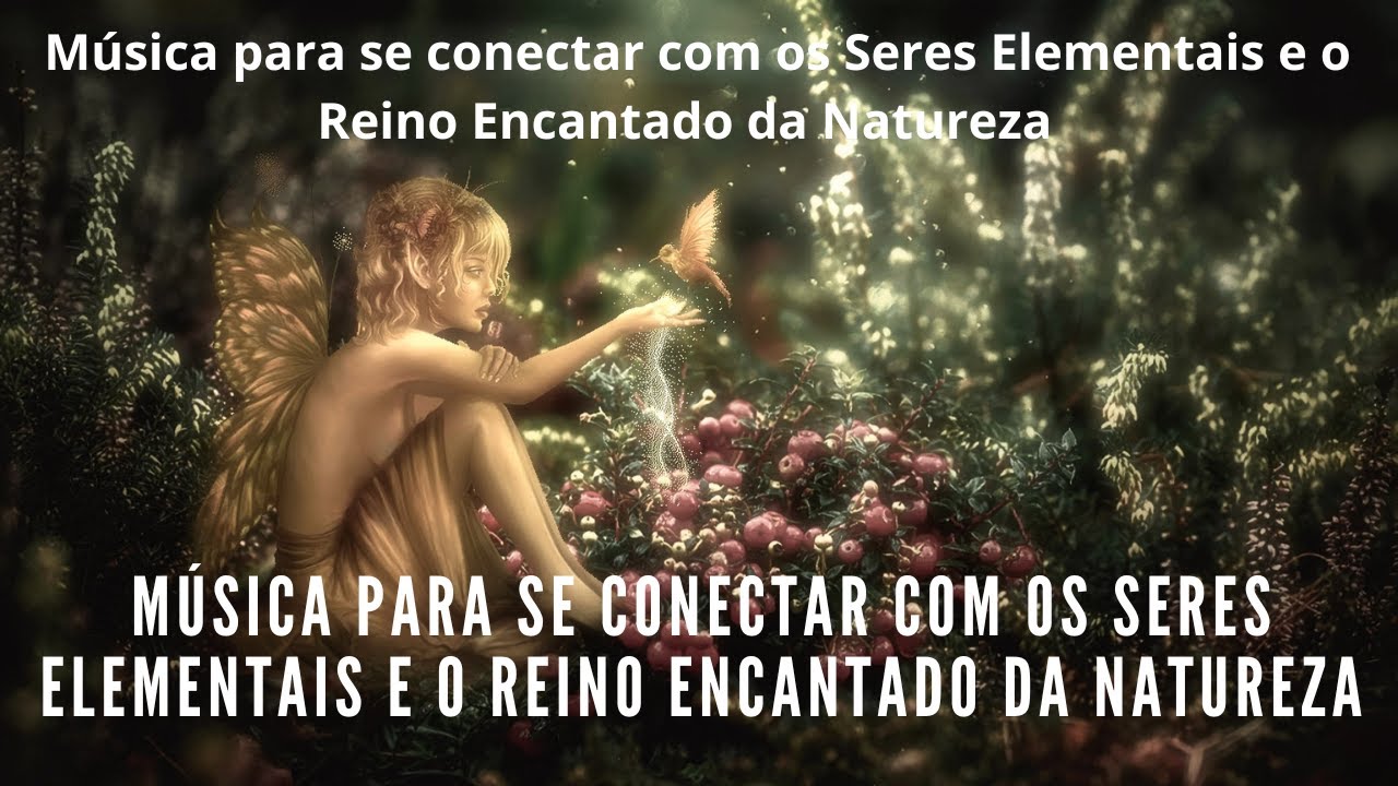 Seres elementais: aprenda a se conectar com os 4 elementos da natureza