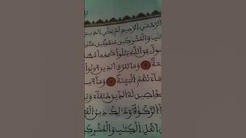 سورة البيينة بصوت مريح #duet #الرحمن #الله #اكسبلور