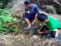 My Philippines Farm Life, trailer & 1st video, cutting bamboo, Philippines bamboo, Philippines farm.