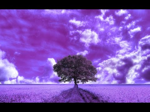 Breach - Everything You Never Had (We Had It All) feat. Andreya Triana