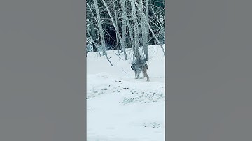 I love editing random clips in my camera roll 🤭