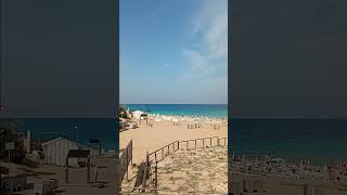 Christmas Day Swim Venue.