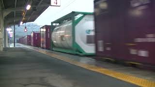 2081列車［吹］EF210-305