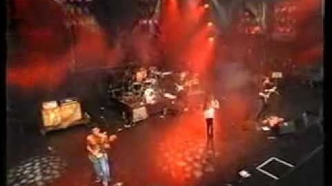 ALANIS MORISSETTE - YOU LEARN (Live  Pinkpop : Hollande 1996)