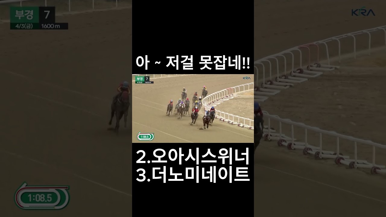 아 ~  저걸 못잡네   #경마  #경마예상  #경마방송  #경마예상방송  #서울경마  #금요경마  #토요경마  #일요경마 #경마장