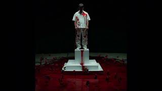 Poizi - Y Slowed Reverb