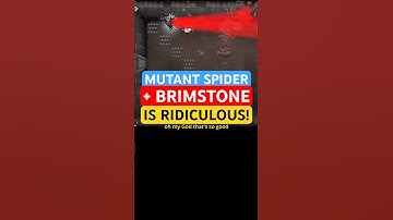 MUTANT SPIDER + BRIM is so STRONG! But it