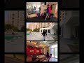 #ashiana #mahindrasez #flats #2bhk #jaipur #3bhk  #property #minivlog #itcompanies #trending #shorts