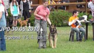 Elninjo Vom Saargold Agility A0 Am 30.05.2010 In Leubnitz