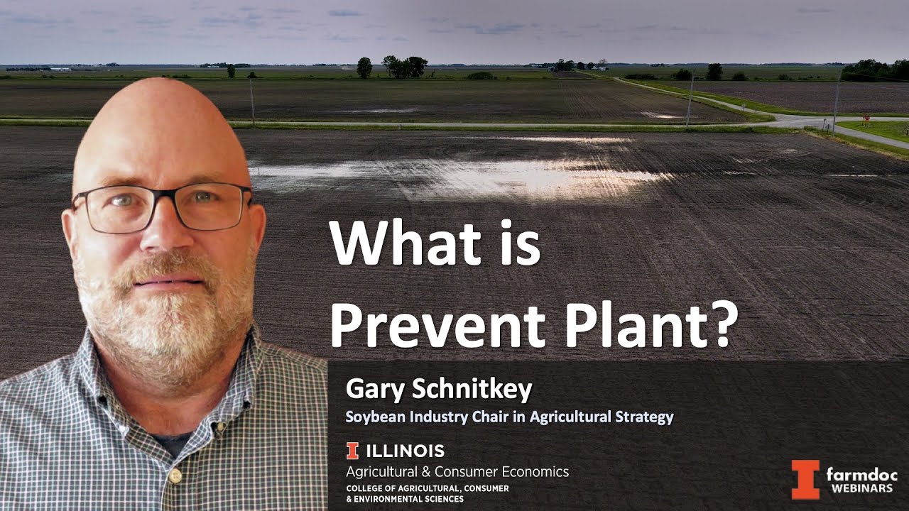 What is Prevent Plant?