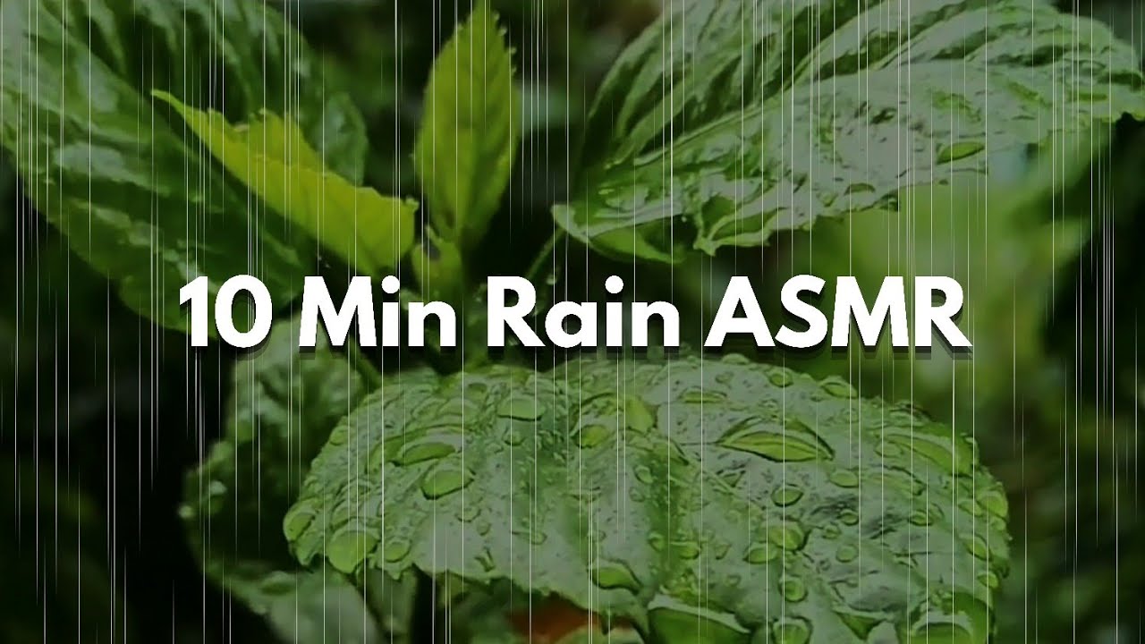 “Rain ASMR 10 Minutes • Relaxing Rain Sounds for Sleep & Calm” - YouTube