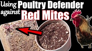 Using Poultry Defender against Red Mites / How to get rid of Red Mite / Bioforce Predator Mites