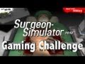 Gaming Challenge - Surgeon Simulator 2013