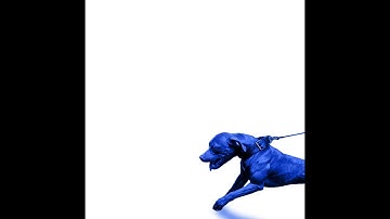 JasonMartin x Mike & Keys - A Hit Dog Gon Holla REVIEW 