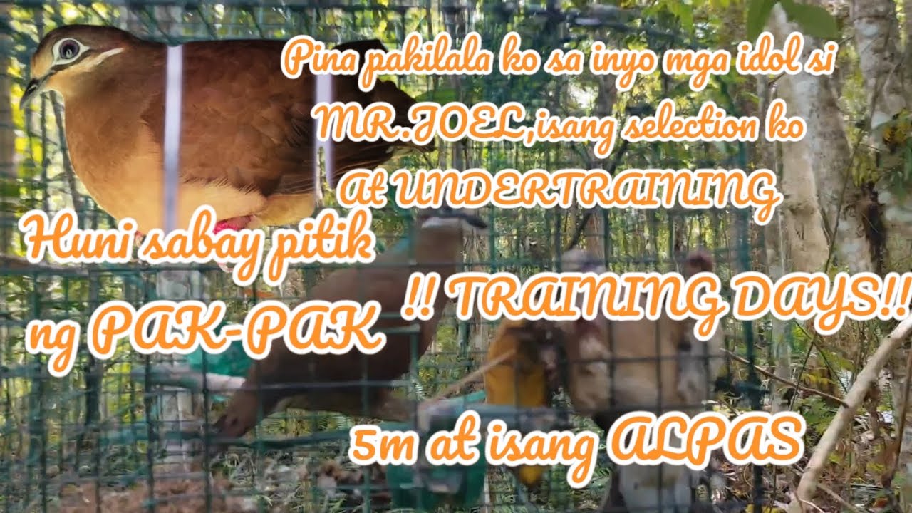 HUNT#83 MR.JOEL isang selection ko at UNDERTRAINING,Pinapakilala ko sa inyo to mga idol.5M AT 1ALPAS