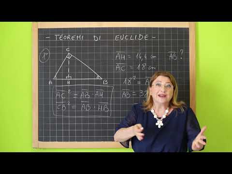 Video: Qual è stato il contributo di Euclide?