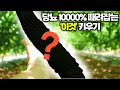 당뇨 1000% 때려잡는 &#39;이것❓&#39; 키우기[🙏위대한 실패]