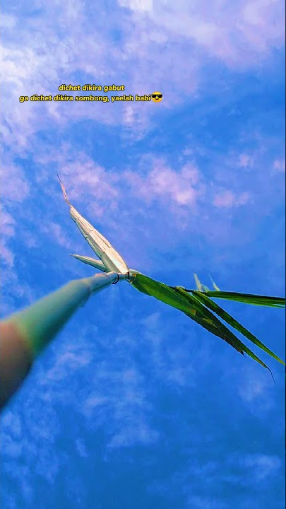 dichet dikira lagi gabut,ga dichet dikira sombong | story wa 30 detik sad #story wa #viraltiktok2021