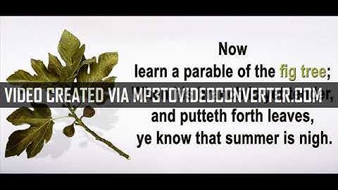 Now learn a parable of a fig tree