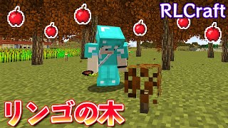 マイクラmod 66 貴重なリンゴ栽培するリンゴ農園計画 Rlcraft Minecraft Summary マイクラ動画