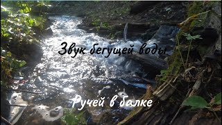 Stream in the lowland. Noise of water #ручей #шумводы #relaxing