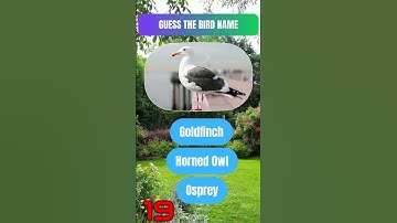 Riddle Revolution: Ignite the Spark of Intellect in a Cosmic Blaze! 🔥🌌🧠#shorts  #brainteaser