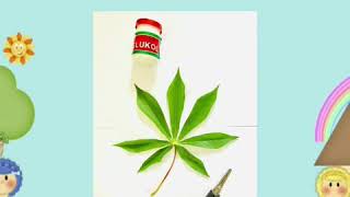 Media pembelajaran dari bahan alam