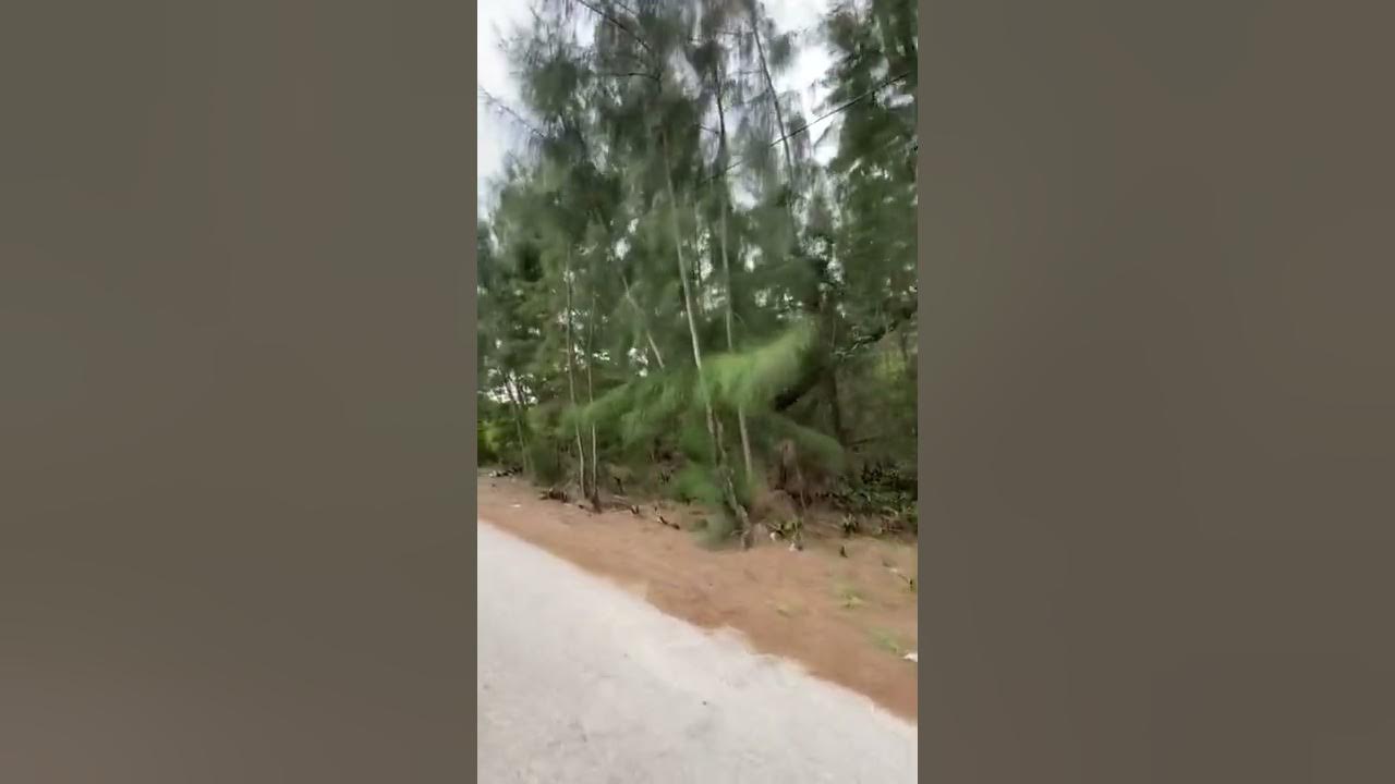 Vacant land in Homestead FL for Sale YouTube