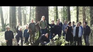 Forestry at Bangor University