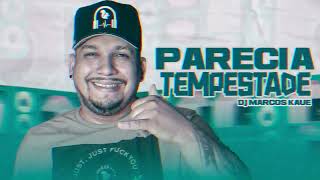 Parecia Tempestade  Mc Danny E Felupe Na Voz Dj Marcos Kau remix Tecnofunk