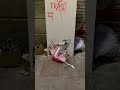 15 aniversario en la basura www. es – arte urbano Barna, street art video Barcelona, streetart video