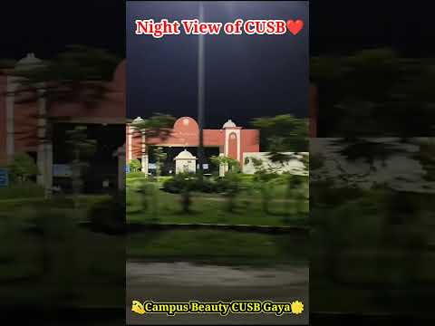 Night View Of Cusb Cusb Central University Of South Bihar Gaya Life Shorts Cucet2025 Unversity
