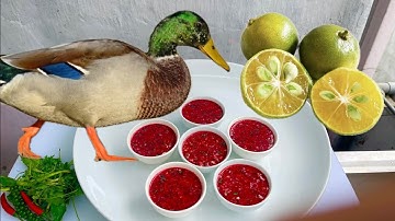 Cách hãm tiết canh vịt bằng quả quất // Sơn Hào