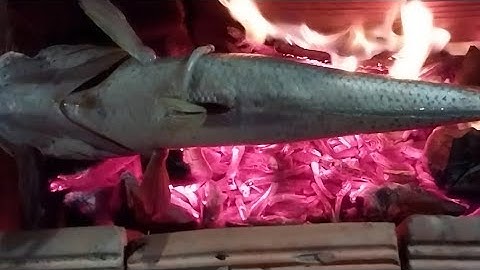 Tập,111,@cá lóc khủng 1kg nướng than hồng