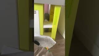 Je déconne pas mon pied c’est vraiment coiser