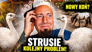 PROBLEM ZE STRUSIAMI 😬 nowy koń i psia kąpiel !