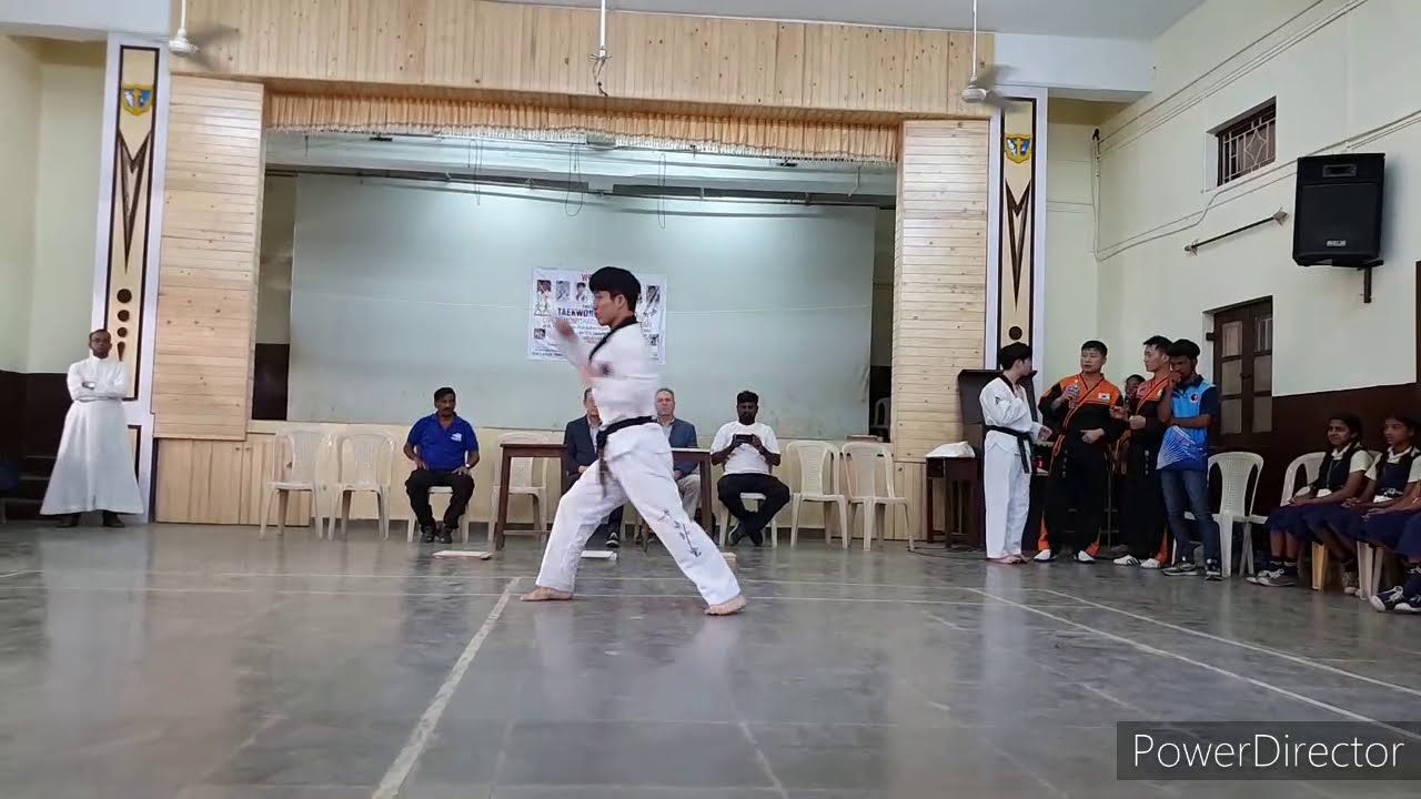 Martial Arts Demonstration by Korea and USA Martial artist