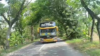 STORY WA BUS | DJ BABY FAMILY FRIENDLY | DJ OPUS | PO.HARYANTO | MADSKY | BUS MANIA COMMUNITY ||