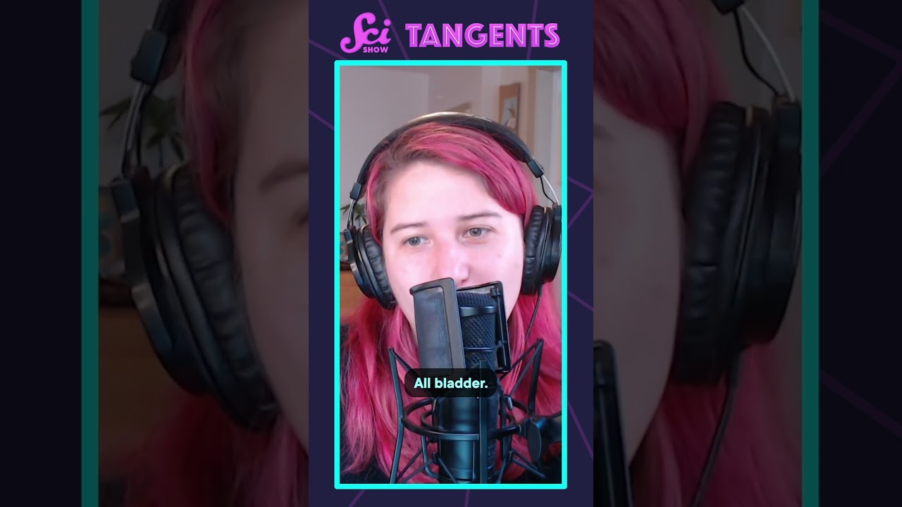 “You ever wonder why they’re yellow? All bladder.” | Tangents Clip #shorts #SciShow #SciShowTangents
