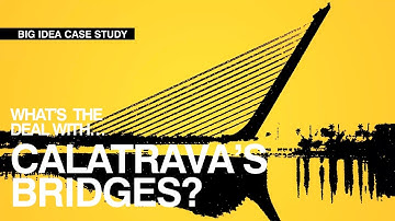 BEST PRACTICE LECTURE VIDEO EXAMPLE #2 | Video exemplifies cognitive load principles as applied.