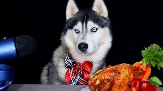 ASMR Husky Reviewing Different Types Of Food #1