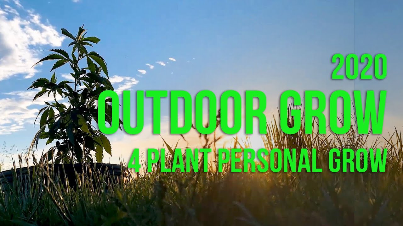 Starting 2020 Outdoor Grow + Sneak Peak in Our Greenhouse